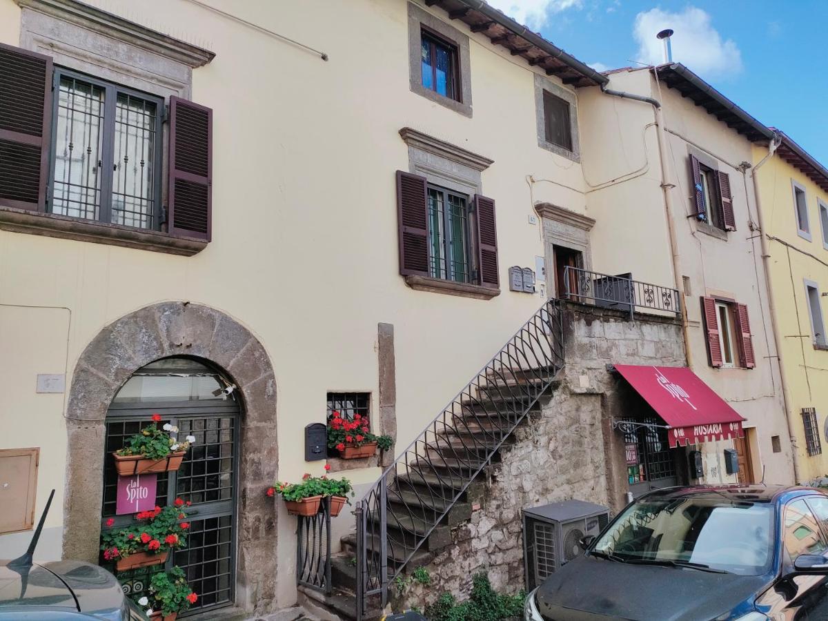 Francigena Viterbo Apartment Con Parcheggio Gratuito A Soli 2 Minuti 外观 照片